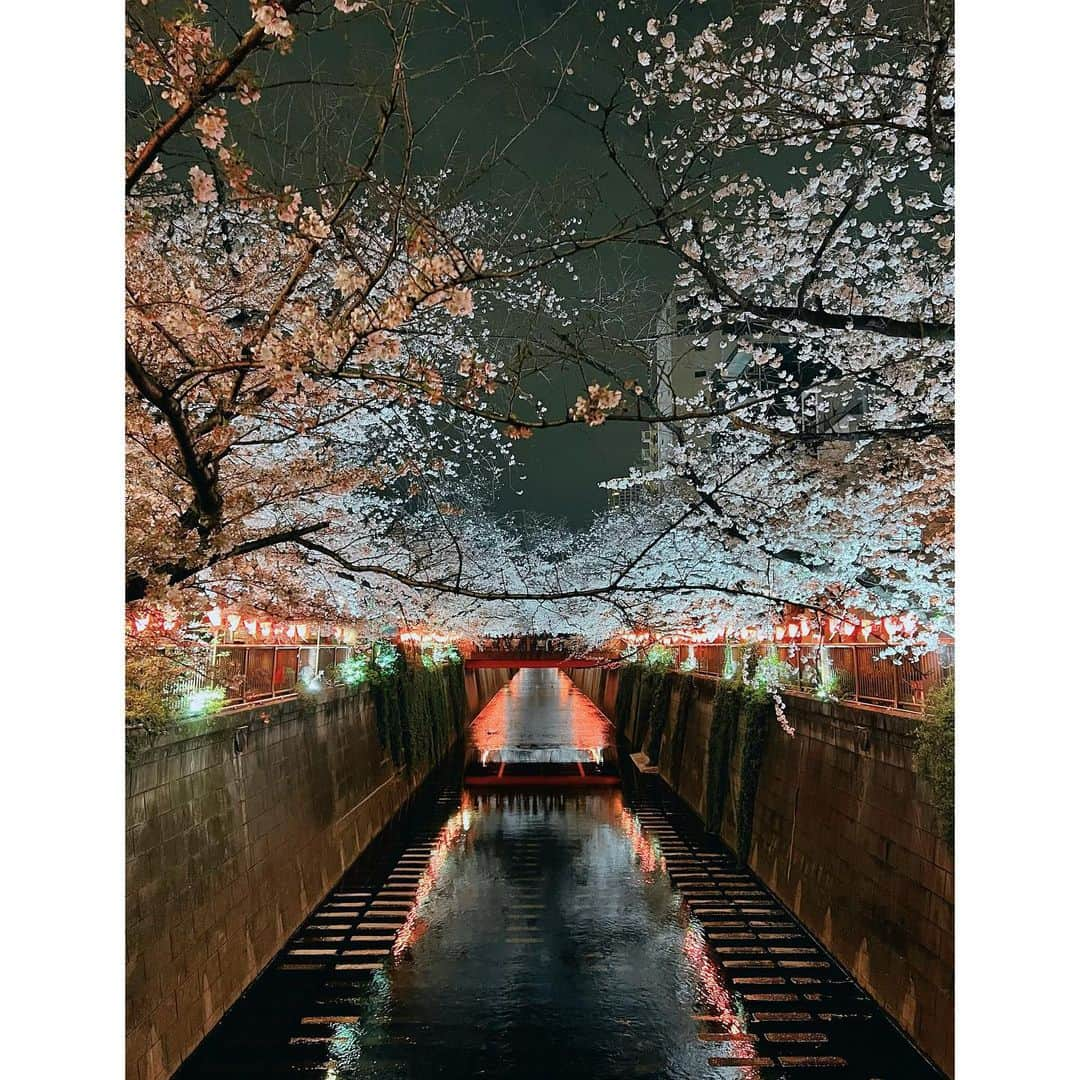 ダンソン・タンさんのインスタグラム写真 - (ダンソン・タンInstagram)「夜📸🌸 - #DT #tokyo  #nakameguro  #中目黑  #唐禹哲」4月2日 15時47分 - dt_0902