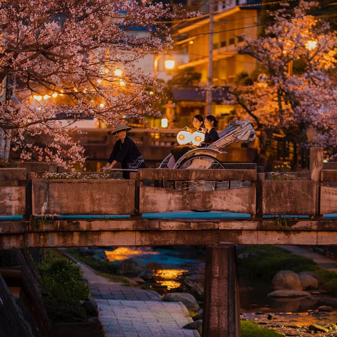 星野リゾート 界の若者旅さんのインスタグラム写真 - (星野リゾート 界の若者旅Instagram)「人力車に乗って贅沢に夜桜を楽しみませんか。 界 玉造の前を流れる玉湯川沿いには春になると約400本ものソメイヨシノが咲き誇ります。 玉湯川のお花見を楽しんでいただくために4月1日～7日まで「夜桜巡り夜行人力車」を運行いたします。 春にしか見られない景色を存分にお楽しみくださいませ。  Why not take a rickshaw ride and enjoy the cherry blossoms at night? Along the Tamayu River in front of KAI Tamatsukuri, approximately 400 Someiyoshino cherry trees are in full bloom in spring. To enjoy cherry blossom viewing, we will run the Night Cherry Blossom Touring Night Rickshaw from April 1 to 7. Please fully enjoy the scenery that can only be seen in spring.  #星野リゾート #界 #界玉造 #島根 #出雲 #玉造温泉 #温泉 #温泉旅館 #温泉旅行 #夜桜 #人力車 #お花見 #桜 #hoshinoresorts  #kai #kaitamatsukuri #Japantravel #hotsprings #onsen #ryokan #shimane #izumo #cherryblossoms #sakura #spring」4月2日 16時00分 - hoshinoresorts.kai