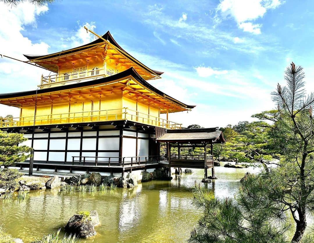 マッコイ斉藤さんのインスタグラム写真 - (マッコイ斉藤Instagram)「京都1人旅！寂しくて仕方ないのでそろそろ帰ります。 #ビックリした金閣寺 #こんな金閣寺見れたのはラッキー🍀」4月2日 16時04分 - maccoi_saito