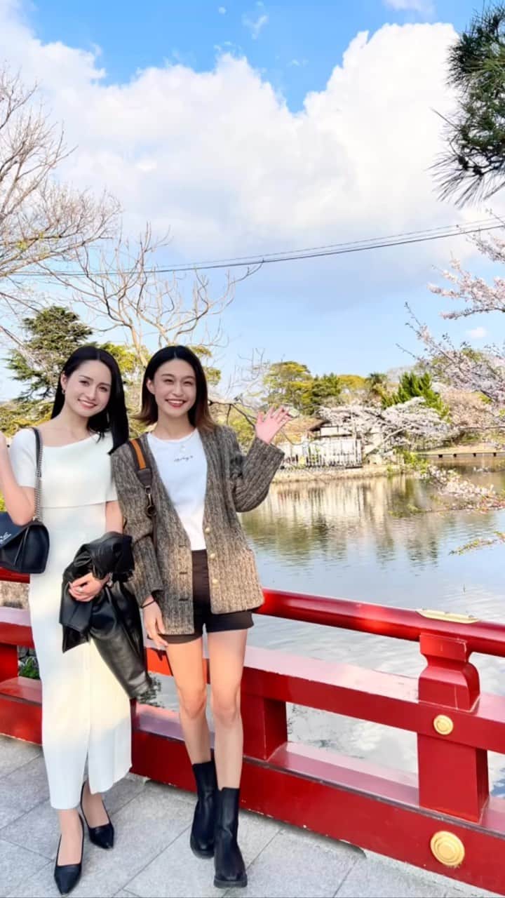 のインスタグラム：「. 地元鎌倉の桜が満開でめちゃくちゃ綺麗だった🌸 〜前編〜 . #鎌倉#桜#鎌倉観光#鶴岡八幡宮#湘南#小町通り」