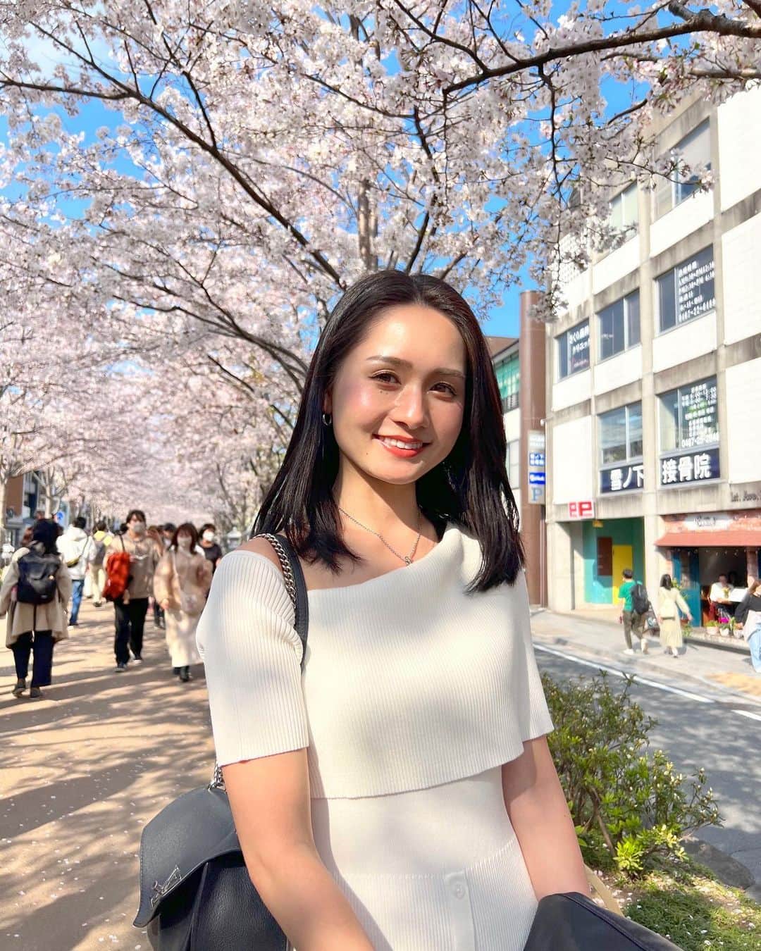 のインスタグラム：「. 🌸🌸🌸 . #桜#鎌倉#お花見#花見#八幡宮#鶴岡八幡宮#鎌倉観光#小町通り」