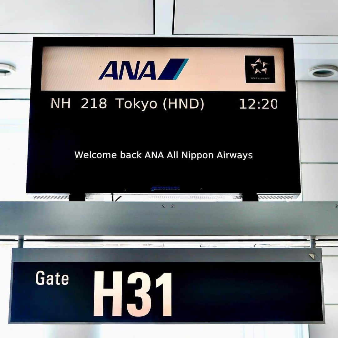 ANAさんのインスタグラム写真 - (ANAInstagram)「ミュンヘン線就航再開✈️ 観光にグルメに楽しめる😊  ミュンヘンでお待ちしています🇩🇪🍺  #allnipponairways #ana #ドイツ #ミュンヘン #ドイツグルメ #germany #munich」4月2日 16時20分 - ana.japan