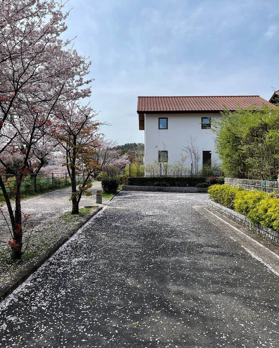 アイトフース | 北欧住宅｜注文住宅｜広島・岡山・山口のインスタグラム：「桜満開と共に18年目になったTさんの住まいは、西風新都を見渡す絶景地にあります。北西角地と遊歩道などの諸条件から2Fリビングで計画させていただきました。ご夫妻も家も庭も素敵に年を重ねられ、当時の思い出話しにも花が咲いて幸せ気分でした。  -------------------------------------- top｜@aitohus @aitoliv @aito_sauna -------------------------------------- #aitohus #アイトフース . . . -------------------------------  〈住まいづくりの勉強会のご案内 〉  ＼勉強会ではこんな内容をお伝えしています／    本気でゆとりある暮らしを得るために  ・家事動線ではなく家事労働時間を1/2以下に減ら  す住まいづくりとは ・日本は住環境では発展途上国 ・海外製の建材や家電ってどうなの？ ・自宅サウナは美容健康のための最強設備  　etc.  住まいづくりを検討されて何から始めていいか分からない...という方にも、1組様ずつ丁寧にお話させていただきますのでお気軽にご参加ください☺ 尚、ご予約はWEBからお受けしております。  -------------------------------- 住まいづくりの勉強会【岡山】 日程：4/9（日）14：00～ 場所：AITOLIV＋ 定員：1組様 -------------------------------- 住まいづくりの勉強会【広島】 日程：4/16（日）10：00～ 場所：そらのモデルハウス 定員：1組様 --------------------------------」