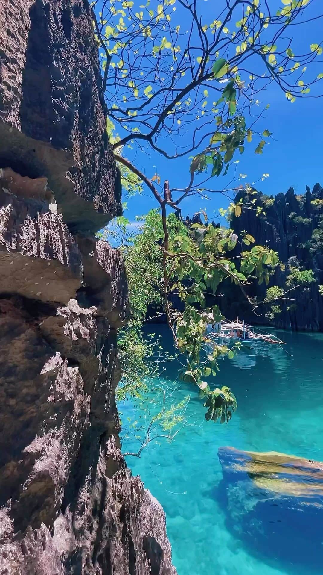 Awesome Wonderful Natureのインスタグラム：「🎥 @warrenjsea  Twin Lagoon in Coron, Palawan, Philippines 🌊 #palawan #philippines」