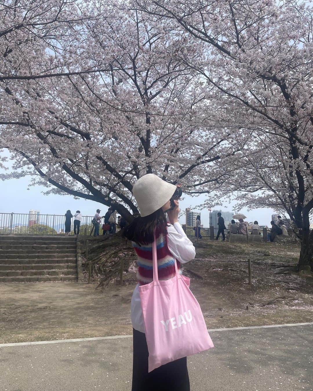 川床明日香のインスタグラム：「お花見行ってきました🌸 風で舞う桜が寂しいけどすごく綺麗だったなぁ。 この日はお天気が良くて暖かかったから早めのかき氷もいただきました。」