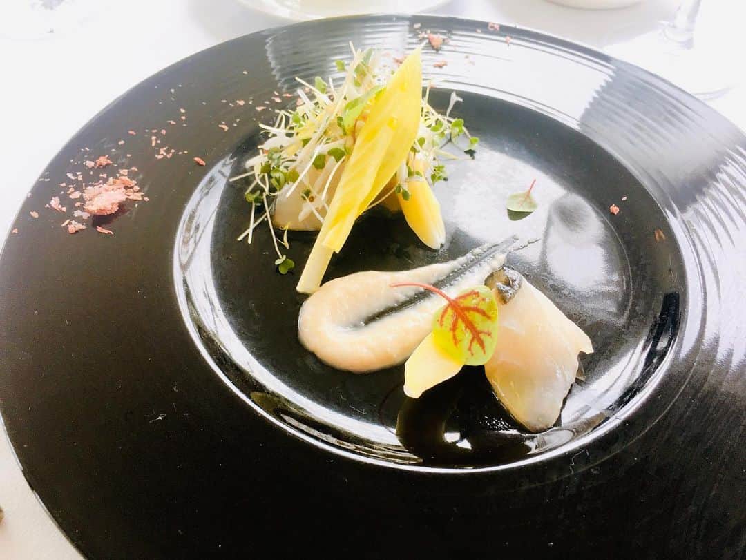 近藤淳子さんのインスタグラム写真 - (近藤淳子Instagram)「クルージング後は、リビエラ逗子マリーナ内へ。  オーシャンビューのガラス建築が夢溢れる絶景チャペル、オールスイートのマリブホテル…マリブファームでは搾りたてのフレッシュジュースで気分爽快✨  相模湾の魚介類、鎌倉野菜など湘南の旬をモダンなイタリアンにて堪能できるリストランテAOへ。  身に余る素晴らしいご縁が広がり、背筋が伸びる想いでした。  新年度は、新たな企業プロジェクトがスタートします。  日々のご縁に感謝して、心して勤勉に進んでいきます⚓️  #逗子マリーナ  #新年度スタート」4月2日 17時21分 - kondo_junko_