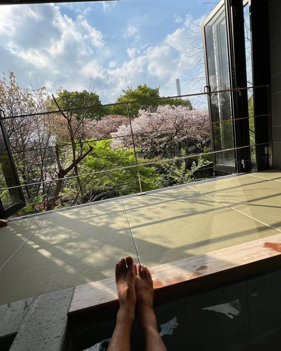 國分利治さんのインスタグラム写真 - (國分利治Instagram)「今日で大好きな桜🌸見納めです！  一年後にまた宜しく‼️」4月2日 17時21分 - toshiharu_kokubun