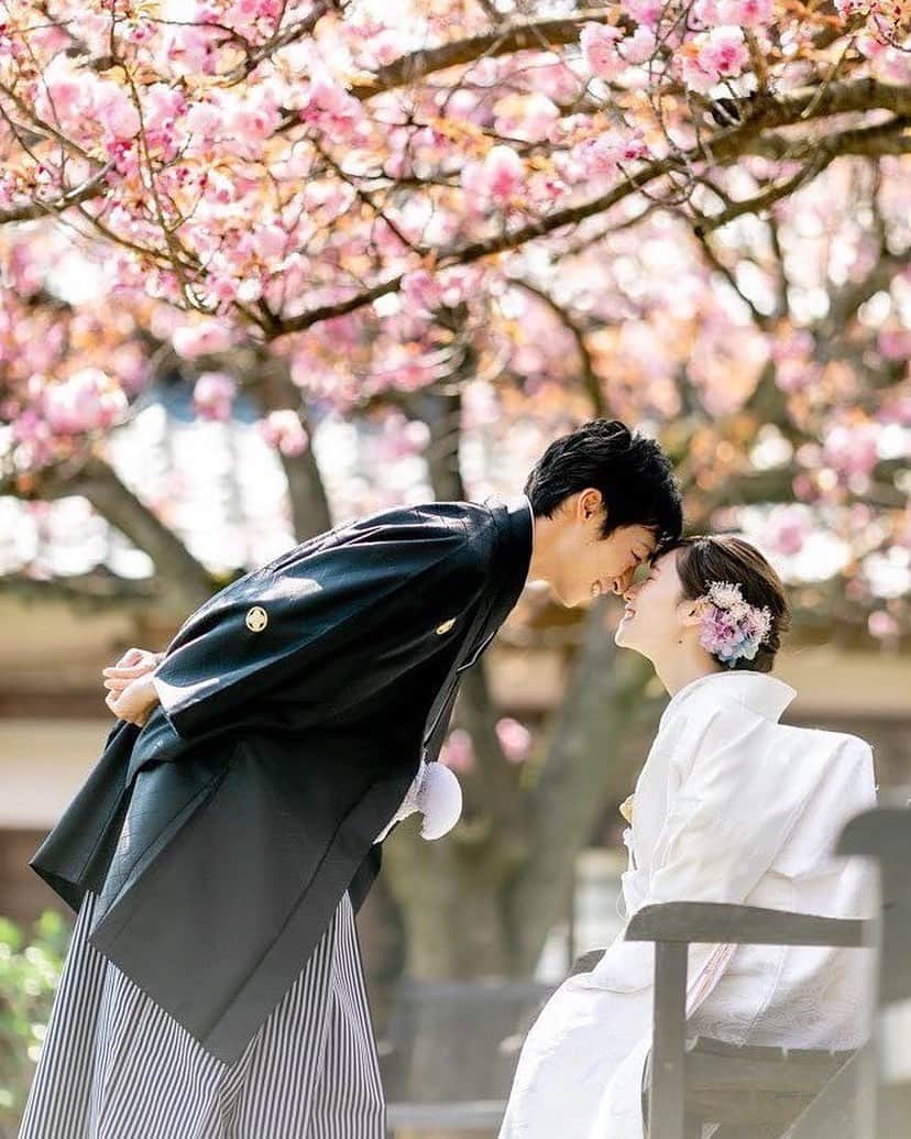 ラヴィ•ファクトリーさんのインスタグラム写真 - (ラヴィ•ファクトリーInstagram)「. 【写真で叶える結婚式】 . 満開の桜の下で撮るお写真はこの時期ならでは🌸 季節のお花と残すお写真は お花が咲く度にこの日のことを思い出せるはず。  . —————— ラヴィファクトリー: @niigata_laviephotography AREA:JAPAN,NIIGATA —————— @laviefactoryをフォローして #laviefactory #ラヴィファクトリー のハッシュタグをつけて お写真を投稿してみてくださいね✳︎ . こちらの公式IG（@laviefactory） で取り上げさせていただきます✨ . 思わず笑顔になれるハートのある 「家族写真」はラヴィクルール* >>>@laviecouleur_official . #wedding #weddingphotography #photo  #ハートのある写真 #instawedding #結婚写真 #ウェディング #ウェディングフォト #撮影指示書 #ロケーションフォト #前撮り#写真好きな人と繋がりたい #フォトウェディング #卒花 #後撮り #ウェディングニュース #前撮り小物 #前撮りフォト #前撮りアイテム #ウェディング撮影 #撮影構図 #前撮りアイディア #撮影指示書 #花嫁コーディネート #桜フォト #桜 #桜ロケーションフォト #和装フォト」4月2日 17時23分 - laviefactory
