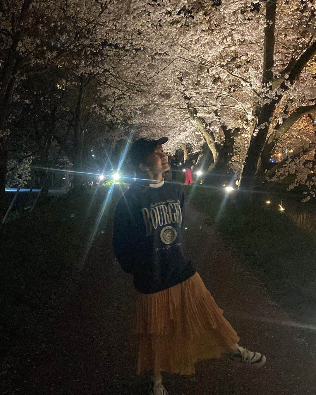坂田茉世さんのインスタグラム写真 - (坂田茉世Instagram)「日本さくら名所100選のひとつ 長さ２キロ以上も続く桜のトンネル 足羽川の桜並木〜🌸✨💫 青空に映える昼の桜もライトアップされる夜も綺麗！ 本当に大好きな福井の春おすすめスポット 河川敷は屋台やキッチンカーも出てて賑わっていました 何度来ても圧巻…！！！！！！」4月2日 17時47分 - mayopppe_