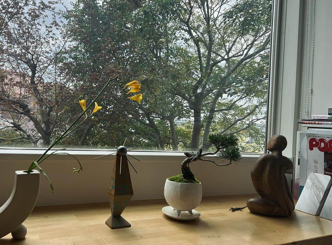 家長晶のインスタグラム：「↪︎新入り #BONSAI」