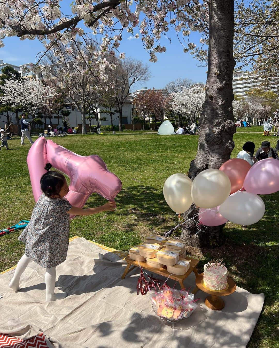 ayu kagawaさんのインスタグラム写真 - (ayu kagawaInstagram)「この季節はいつものみんなとお花見×birthday partyが恒例に🎂🌸🎈 最高のお花見日和の中、お外で美味しいお弁当を食べて、大好きな人たちにお祝いしてもらえて幸せな一日だった♡ いつも有難う😌🫶 益々個性豊かな子供達は見てるだけで楽しい🤭  満開の桜を見るといつも娘が生まれた時のことを思い出して幸せな気持ちになる😌🌸🫶  #birthdayparty #kidsparty #桜#cherryblossom  #お花見」4月2日 18時00分 - ayuyunyun