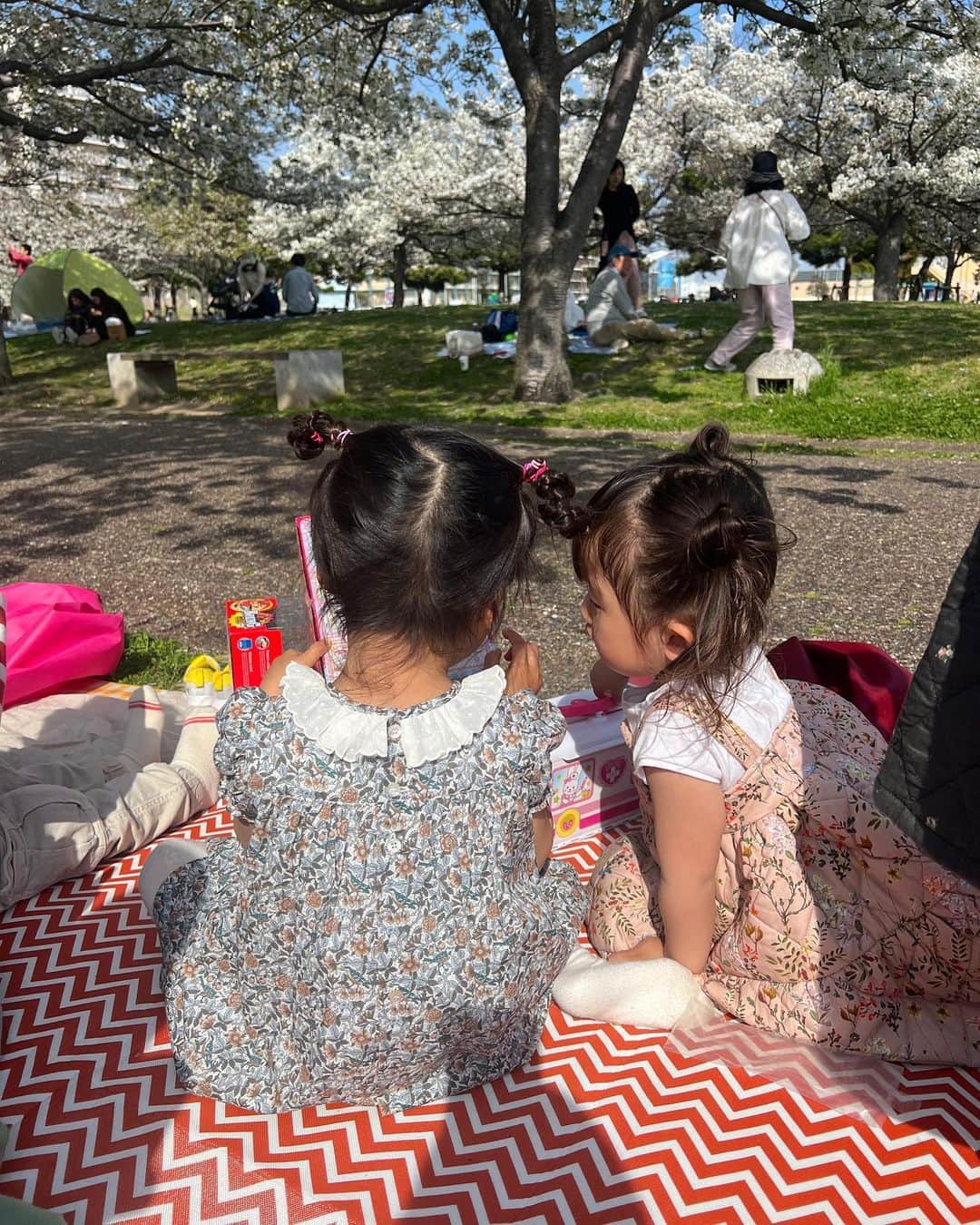 ayu kagawaさんのインスタグラム写真 - (ayu kagawaInstagram)「この季節はいつものみんなとお花見×birthday partyが恒例に🎂🌸🎈 最高のお花見日和の中、お外で美味しいお弁当を食べて、大好きな人たちにお祝いしてもらえて幸せな一日だった♡ いつも有難う😌🫶 益々個性豊かな子供達は見てるだけで楽しい🤭  満開の桜を見るといつも娘が生まれた時のことを思い出して幸せな気持ちになる😌🌸🫶  #birthdayparty #kidsparty #桜#cherryblossom  #お花見」4月2日 18時00分 - ayuyunyun