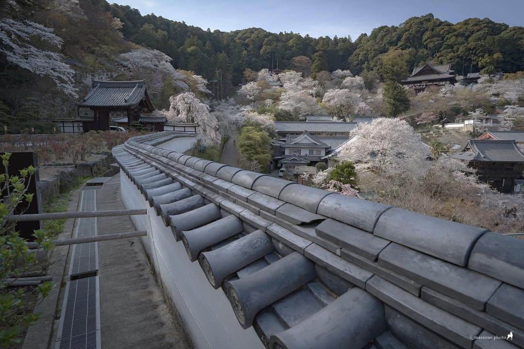 иαяα & куσтσ νιятυαℓ ωσяѕhιρのグルメインスタ