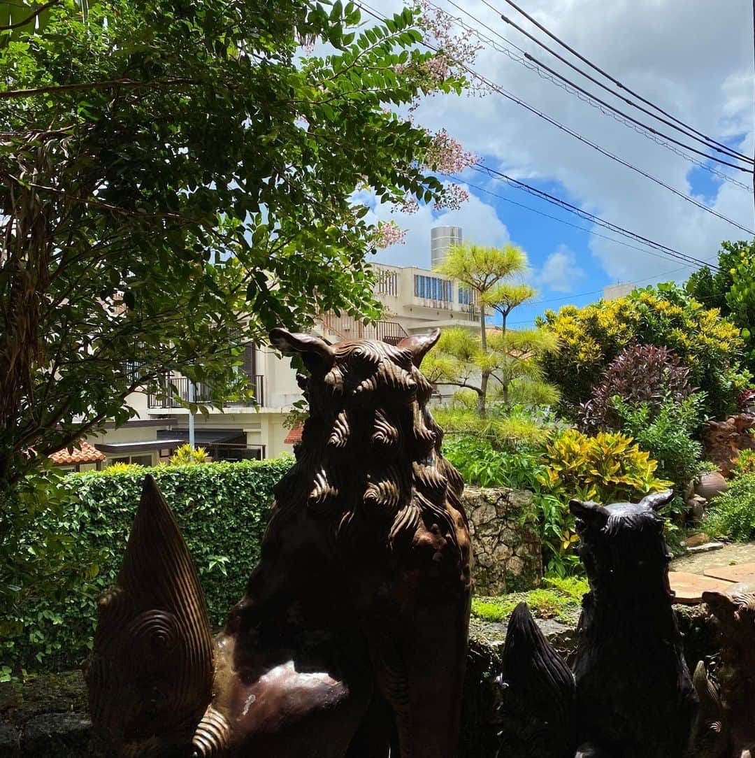 ESTINATE HOTELさんのインスタグラム写真 - (ESTINATE HOTELInstagram)「🦁⁠いよいよ〜あした4月3日はシーサーの日🦁⁠ ⁠ シーサーとは沖縄に古くから伝わる魔除けの守り神で、沖縄県民の多くの家屋の家屋に設置されています。⁠ 「シーサーの日」に壺屋通りでは毎年【壺屋でシーサーの日】というイベントが開催されていますよ～ぜひ立ち寄ってみてください～✨⁠ ⁠ -----⁠ ⁠ April 3rd is Shisa Day!⁠! 🦁 Shisa is a traditional talisman believed to protect against evil spirits in Okinawa, and can be found on many homes in Okinawa.⁠ Every year on Shisa Day, the "Tsuboya Shisa Day" event is held on Tsuboya Street - be sure to drop by and check it out! #OkinawaCulture#ceramic⁠ ⁠ -----⁠ ⁠ 四月三日就是沖繩的獅子節~! ⁠ 取自諧音『Shi-sa』跟我們中文的數字四三聽起來一樣呢！ 不知道大家有沒有看過沖繩家戶門口的可愛獅子？它可是傳統的護符喔，據說可以保護你免受邪靈的侵害！所以，千萬別忘了去壺屋通的「壺屋獅子節」活動逛逛，看看有沒有運氣搶到幸運禮物哦！😁 ⁠ -----⁠ ESINATE HOTEL NAHAは、旅の次が見つかるカジュアルホテルです！👉@estinate_hotel_naha⁠ ⁠ 『旅は不完全なほどおもしろい、⁠ 旅の計画には余白を。⁠ それは、あなたの旅が素晴らしい体験になる第一歩』⁠ ⁠ ⁠ #estinatehotel⁠ #estinatelounge⁠ #livelyhotels⁠ #naha#okinawa#okinawahotel#okinawatrip#visitokinawa#那覇ホテル#沖縄ホテル#那覇観光#那覇旅行#沖縄観光#沖縄旅行#沖縄行きたい#国内旅行好き#シーサーの日#シーサー♯やちむん通り⁠ ⁠ #LIVELYHOTELS #ライフスタイルホテル ⁠ #japanhotel #japanesehotel #lifestylehotel #designhotel #traveljapan #discoverjapan ⁠#japantrips」4月2日 18時10分 - estinate_hotel_naha