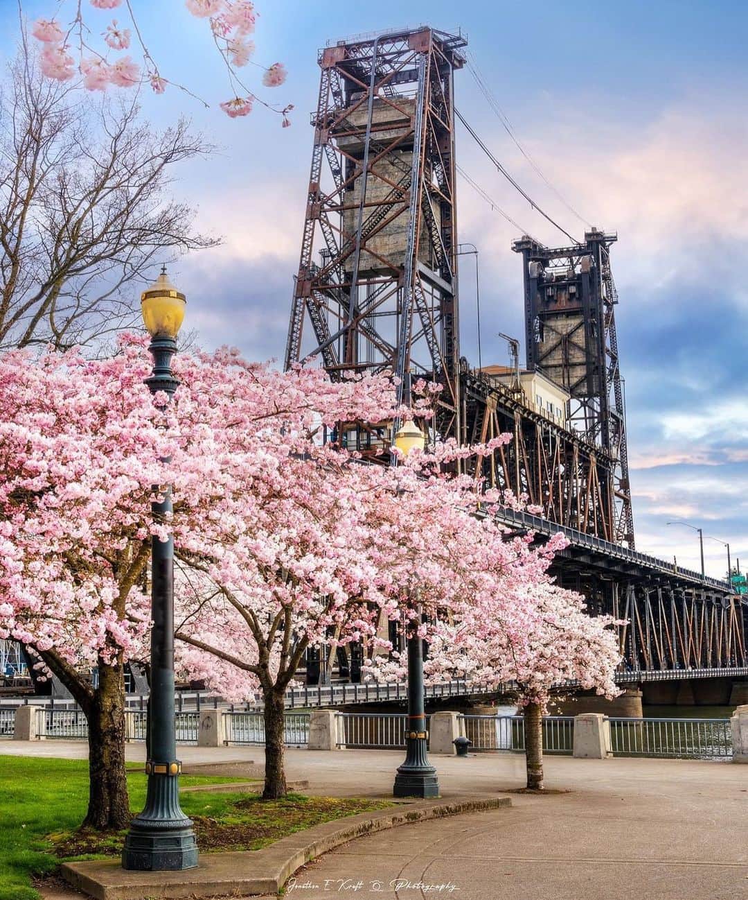 Portlandさんのインスタグラム写真 - (PortlandInstagram)「The most magical week of the year. 🌸 Still a few days left to head to the waterfront and see the Cherry Blossoms in full bloom!  #portland #pdx #portlandnw @jonathonekraft_photography」4月3日 4時39分 - portland