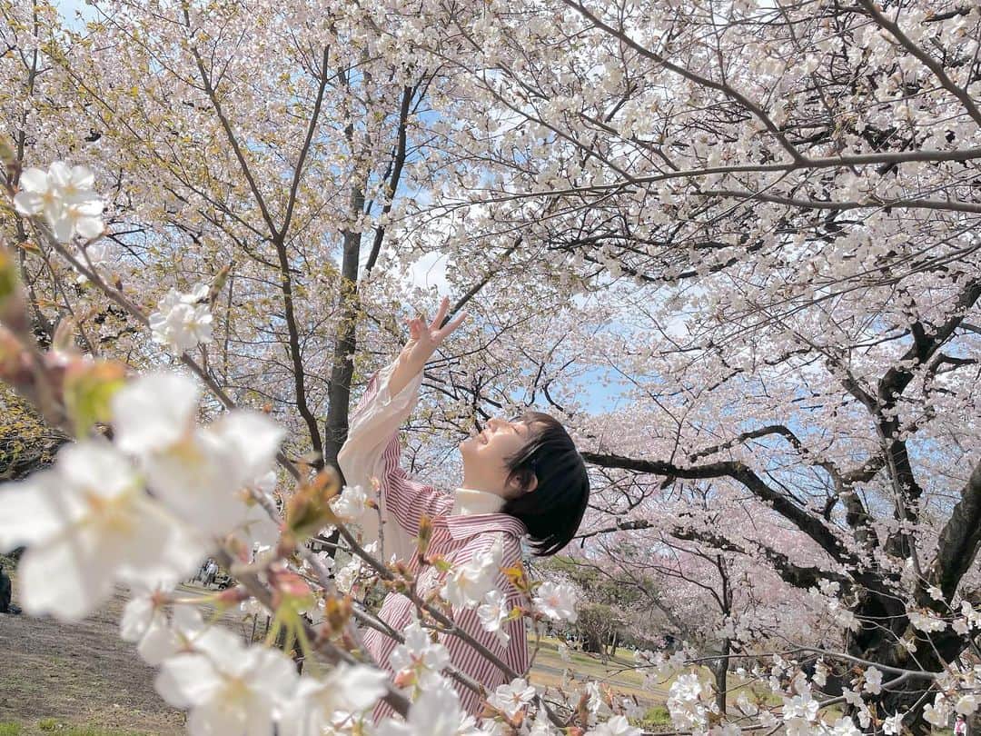 武田玲奈さんのインスタグラム写真 - (武田玲奈Instagram)「一年前🌸」4月2日 20時00分 - rena_takeda