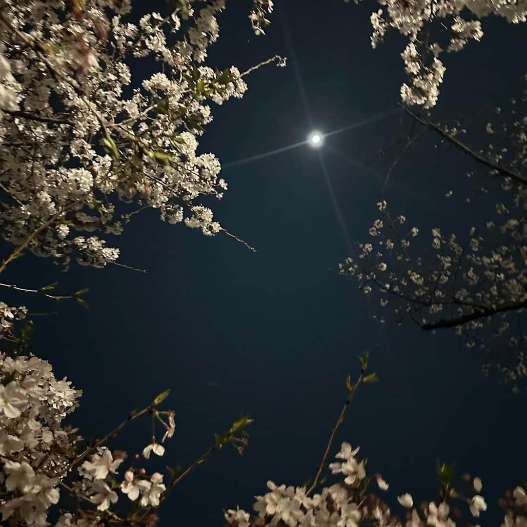 園田乃彩さんのインスタグラム写真 - (園田乃彩Instagram)「♡ ⁡ 今年は いっろ〜んな桜見に行けた🙈🌸 ⁡ ずっと春が続いて欲しい。」4月2日 20時12分 - noaaa327_