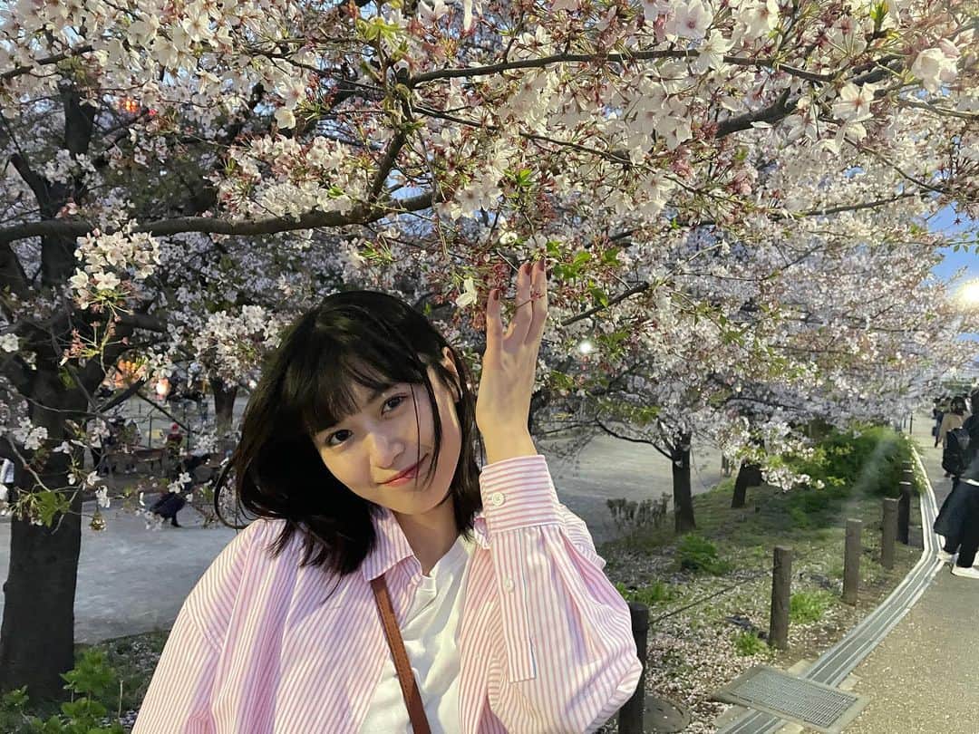 北向珠夕さんのインスタグラム写真 - (北向珠夕Instagram)「散り始めた桜も良きでした🌸」4月2日 20時36分 - kitamuki_miyu