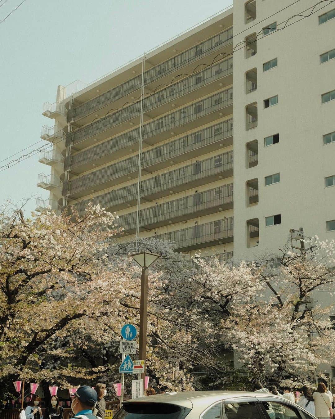 宮川由衣子さんのインスタグラム写真 - (宮川由衣子Instagram)「. 🌸💗🤭 題名"幸せの渋滞約20km" #結構な渋滞 #トイレの限界来るやつ」4月2日 20時37分 - yuiko_miyagawa