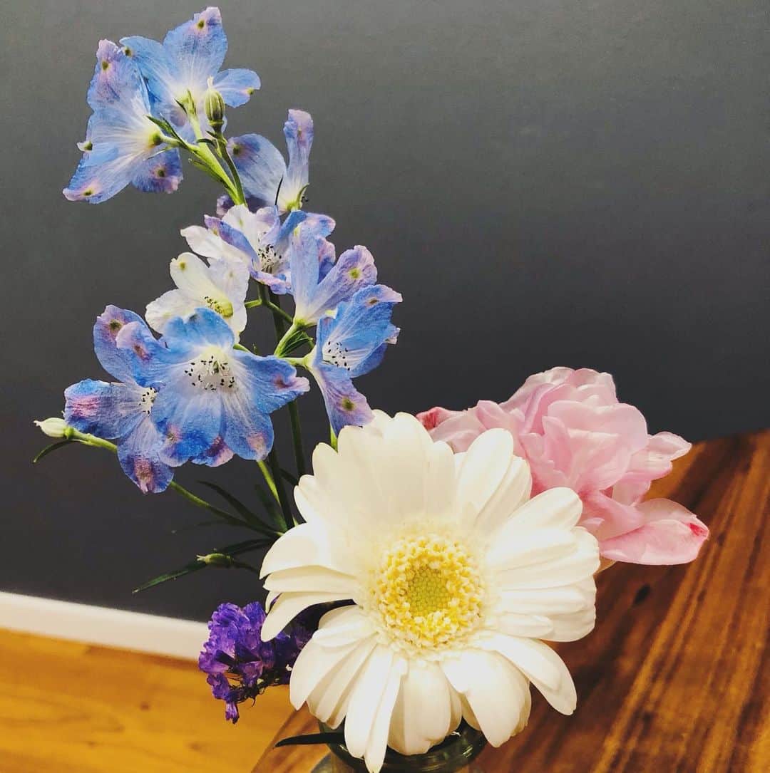 田野辺実鈴のインスタグラム：「お花に申し訳ないくらい、 写真がへたっぴ🥲  #今日のお花 #今日のいけばな #いけばなというほどのものではありませんが #花瓶いけ #お花のある暮らしが好き  #お花のある暮らし #お花のある生活 #理鈴」