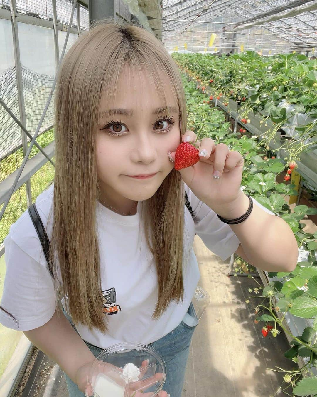 みぃらぁんさんのインスタグラム写真 - (みぃらぁんInstagram)「いちご狩り行ってきたよ🍓♡♡」4月2日 20時47分 - miran150613