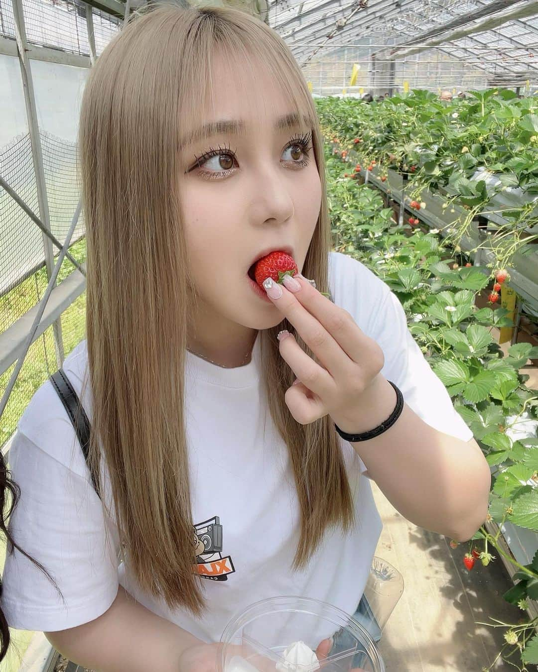 みぃらぁんさんのインスタグラム写真 - (みぃらぁんInstagram)「いちご狩り行ってきたよ🍓♡♡」4月2日 20時47分 - miran150613