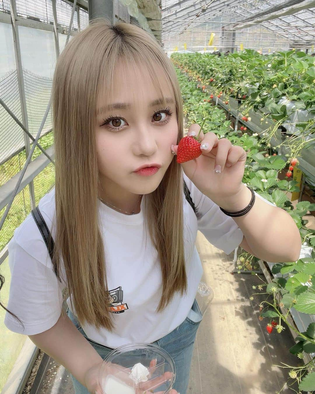 みぃらぁんさんのインスタグラム写真 - (みぃらぁんInstagram)「いちご狩り行ってきたよ🍓♡♡」4月2日 20時47分 - miran150613