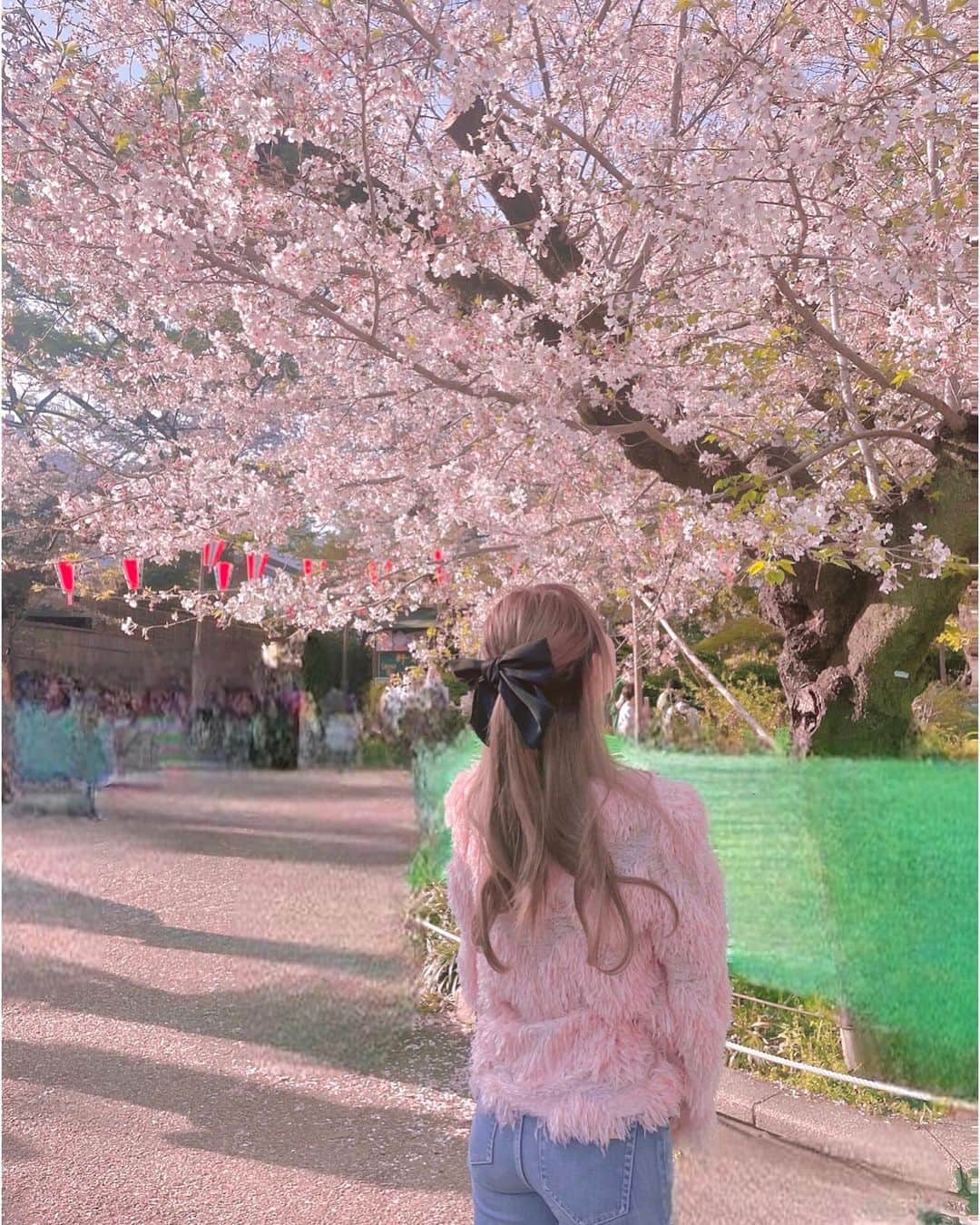 みうらうみさんのインスタグラム写真 - (みうらうみInstagram)「どこ歩いてもぴんくで幸せな気持ちになる🌸🌸 色んな桜があつまりました🌸 . . #桜 #お花見 #上野公園 #目黒川」4月2日 20時52分 - miuraumi1207