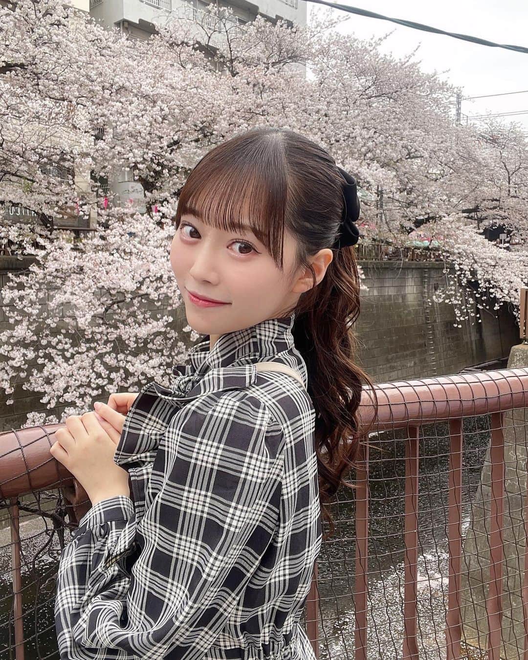 松村キサラのインスタグラム：「・ 目黒川で桜みてきた〜🌸 満開でとっても綺麗だった！  みんなはお花見した〜？？  #目黒川 #桜」