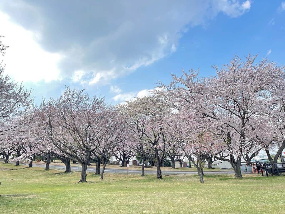 山口すず夏のインスタグラム：「Almost done...🌸」