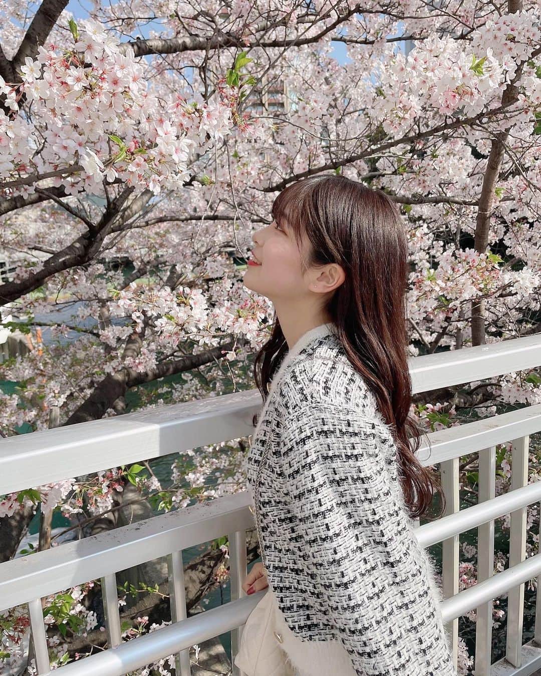 内山優花さんのインスタグラム写真 - (内山優花Instagram)「．  春だね〜〜🌸 昼と夜の桜みんなにもおすそわけ🤲🏻  4月から新しい環境になる方が 多いと思いますがお互い頑張ろうね！」4月2日 20時56分 - yuka3l7