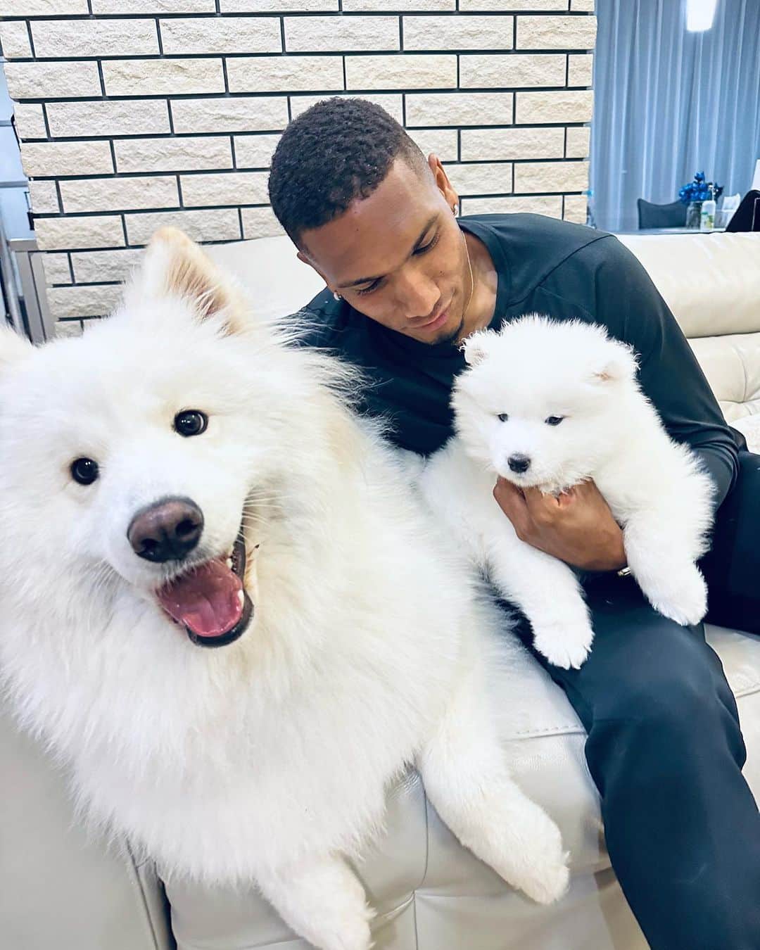 マテウス・ドス・サントス・カストロさんのインスタグラム写真 - (マテウス・ドス・サントス・カストロInstagram)「New baby ❤️🐶」4月2日 21時15分 - mateuscastro10