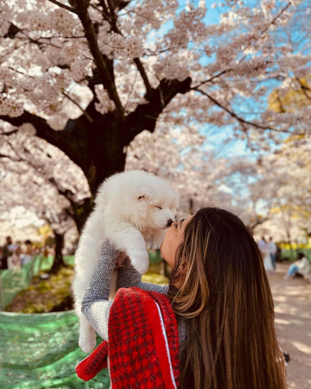マテウス・ドス・サントス・カストロさんのインスタグラム写真 - (マテウス・ドス・サントス・カストロInstagram)「New baby ❤️🐶」4月2日 21時15分 - mateuscastro10
