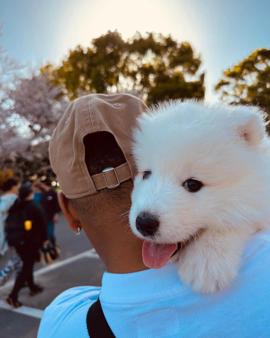 マテウス・ドス・サントス・カストロさんのインスタグラム写真 - (マテウス・ドス・サントス・カストロInstagram)「New baby ❤️🐶」4月2日 21時15分 - mateuscastro10