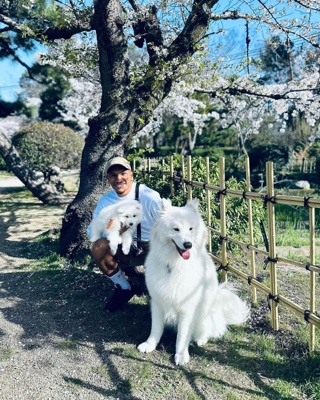 マテウス・ドス・サントス・カストロさんのインスタグラム写真 - (マテウス・ドス・サントス・カストロInstagram)「New baby ❤️🐶」4月2日 21時15分 - mateuscastro10