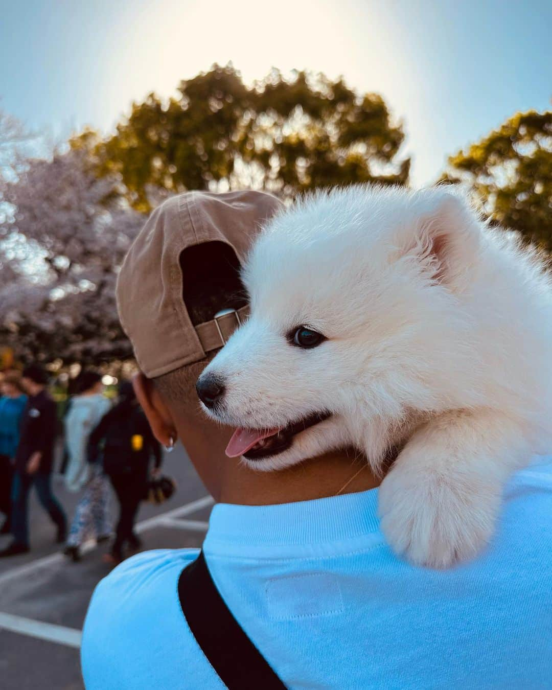 マテウス・ドス・サントス・カストロのインスタグラム：「New baby ❤️🐶」