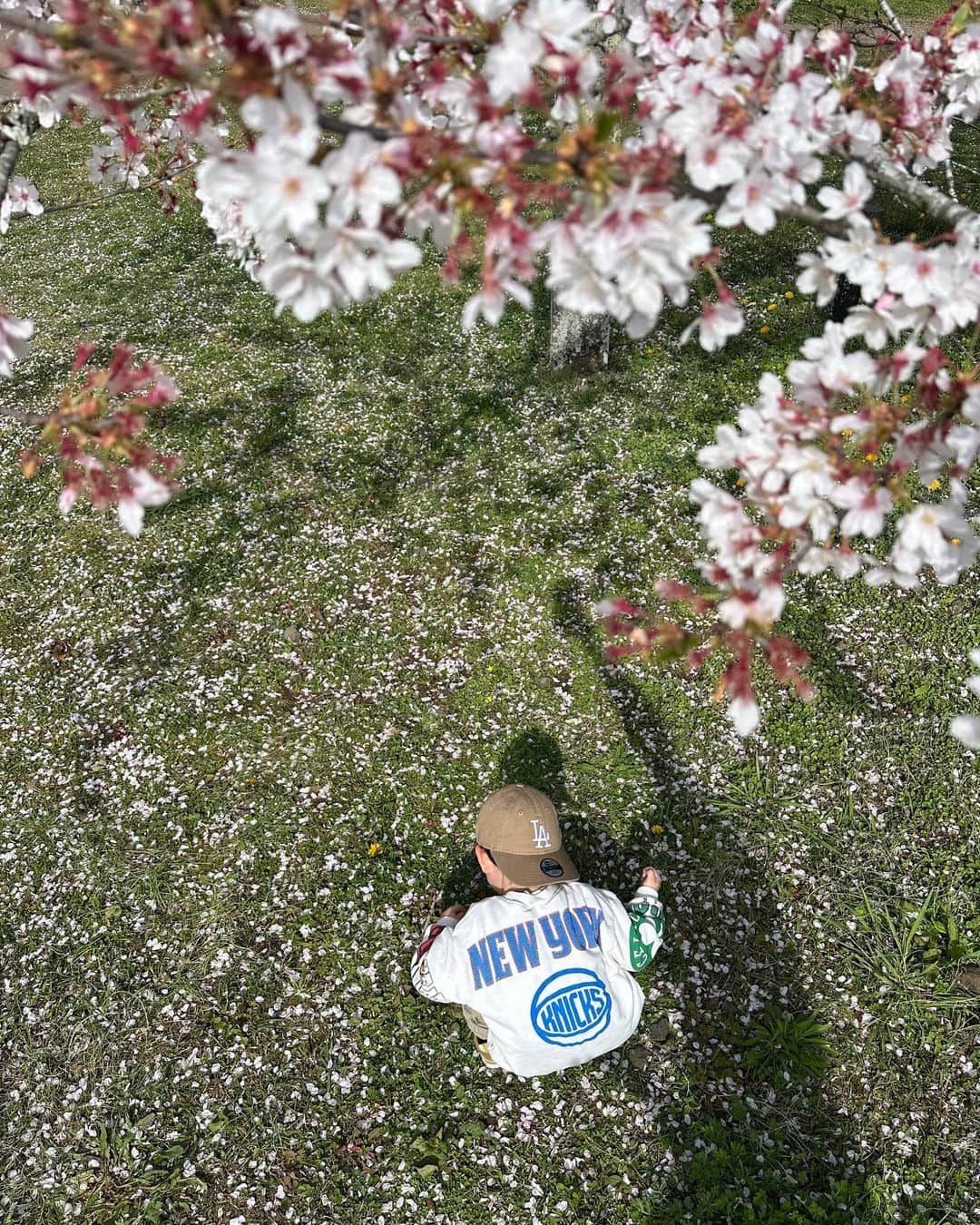 簑島宏美さんのインスタグラム写真 - (簑島宏美Instagram)「4年前にハウルと来て以来の岡城へ🌸 急な階段と長い坂道を1人で登り切った長男。 頼もしく成長する彼の姿を、ハウルもきっと誇らしく思っていることでしょう🌸  3枚目は、満開の桜を見ずに地面ばかり見ている長男…そしてその手に忍ばせていたのはアリでした…🐜 生き物全てを愛する男…良いんだけど、良いんだけどね…😇  #おんせん県おおいた  #岡城跡 #大分県 #大分県竹田市 #岡城さくらまつり #お花見 #お花見スポット #お花見日和 #九州観光 #oitaprefecture #japan #cherryblossom  #japanlife」4月2日 21時11分 - hiromiminoshima