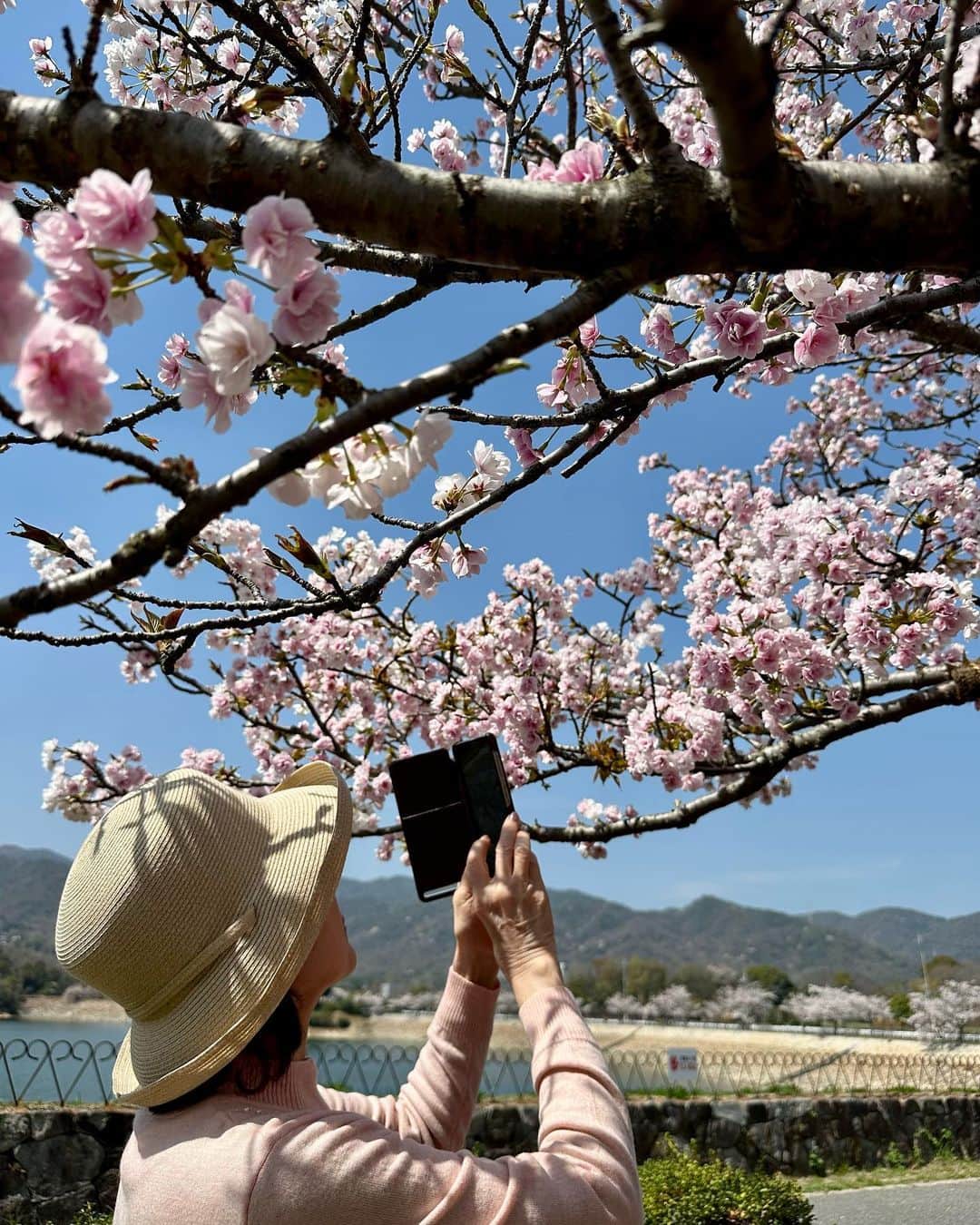 山田佳子さんのインスタグラム写真 - (山田佳子Instagram)「母と一緒にお花見へ…🌸満開の桜がきれいでした😊💕 ⁡ #お花見 #春の陽気 #ウグイスの鳴き声 #心地よい #自然の美しさ #癒されます #春 #母と #また来年も #一緒に見たい」4月2日 21時14分 - yoshiko117