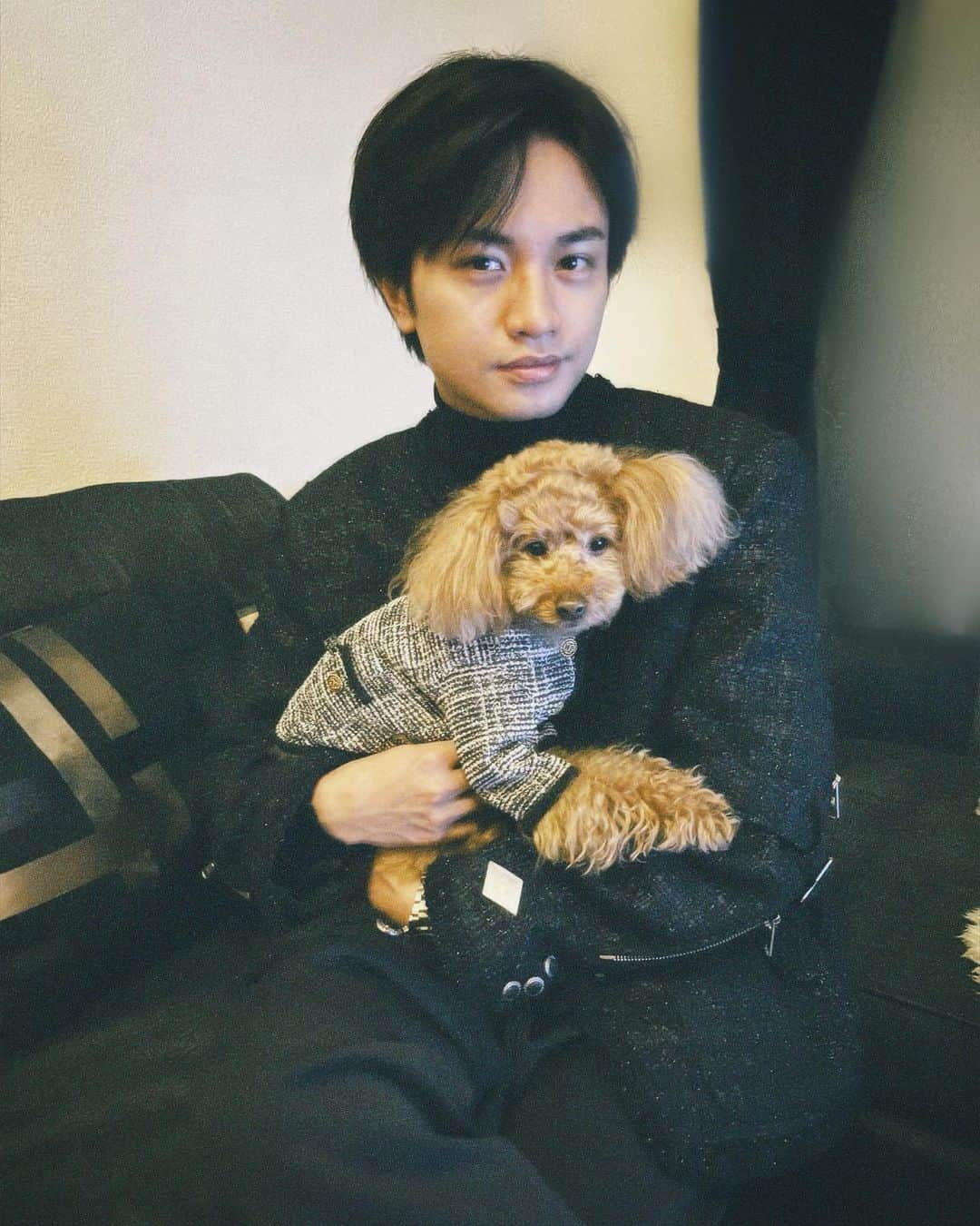 中島健人さんのインスタグラム写真 - (中島健人Instagram)「服もなんとなくお揃い。 Twinning with my little sunshine, Bonita.  I ‘woof’ you.   #dog #OOTD #fashion #pets #family #love #Bonita」4月2日 21時19分 - kento.nakajima_313