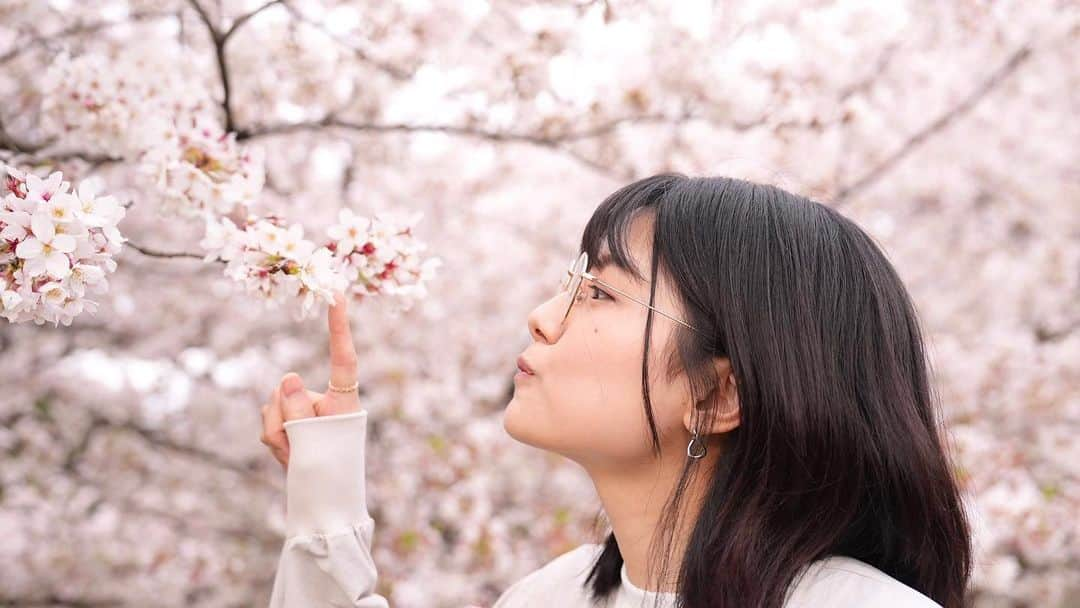 芦原優愛のインスタグラム：「. 桜見てきただ  #桜🌸  #お友達よまたお写真ありがとう #あと外に連れ出してくれてありがとう #私すぐ引きこもりしちゃうから感謝してる」