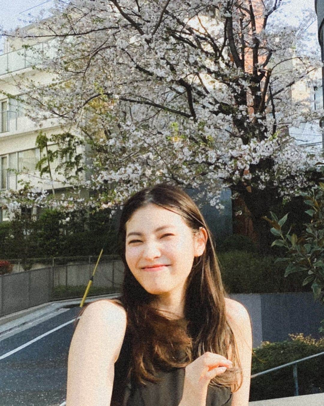 立石晴香さんのインスタグラム写真 - (立石晴香Instagram)「桜もうすぐ見納めかな🌸 花びら舞ってる中歩くのも好きです🫶  #sakura #桜」4月2日 21時42分 - haruka_tateishi