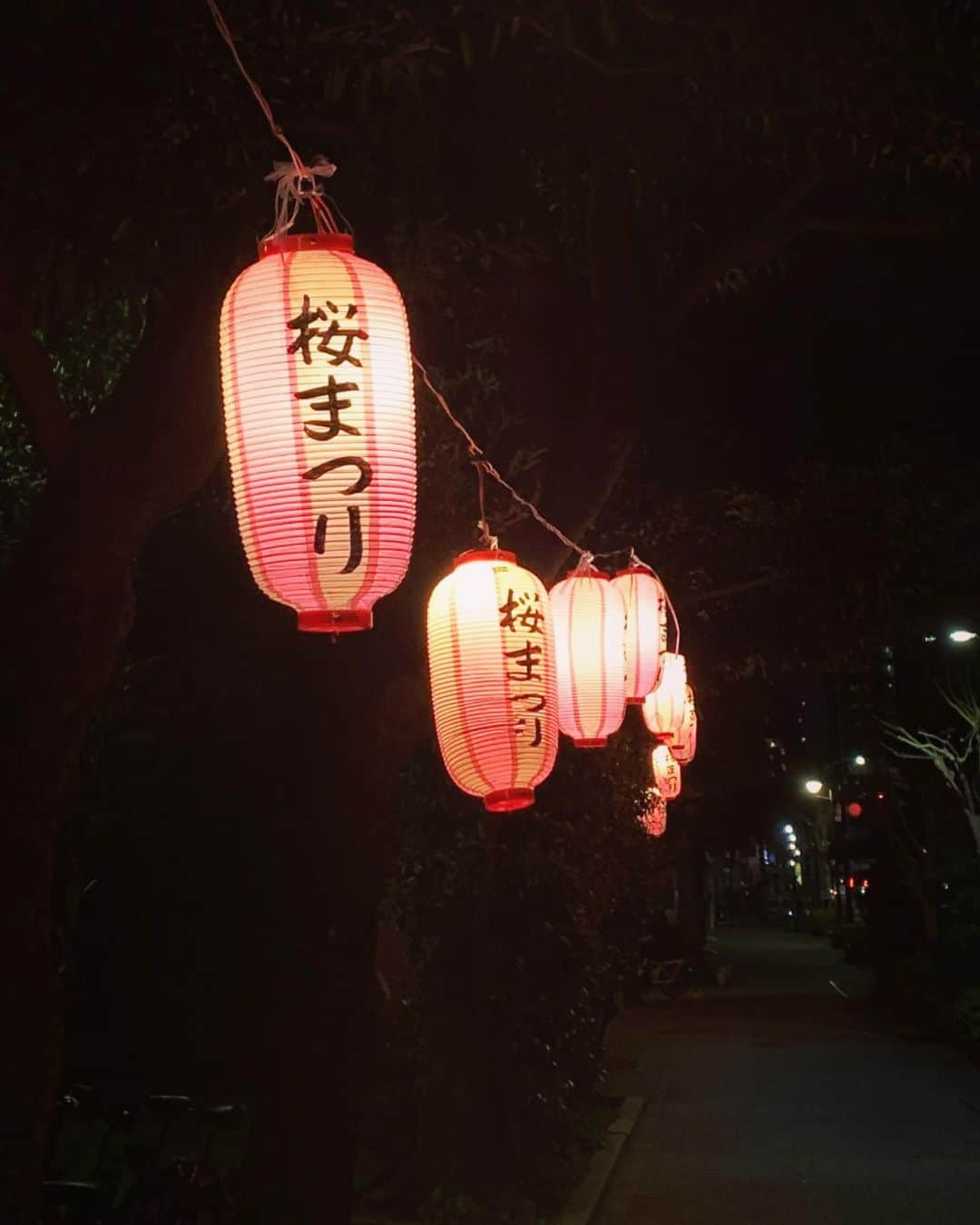 佐々木崇博（うるとらブギーズ）のインスタグラム：「近所の公園で桜まつりやってくれてた。ありがたい。  #桜まつり」