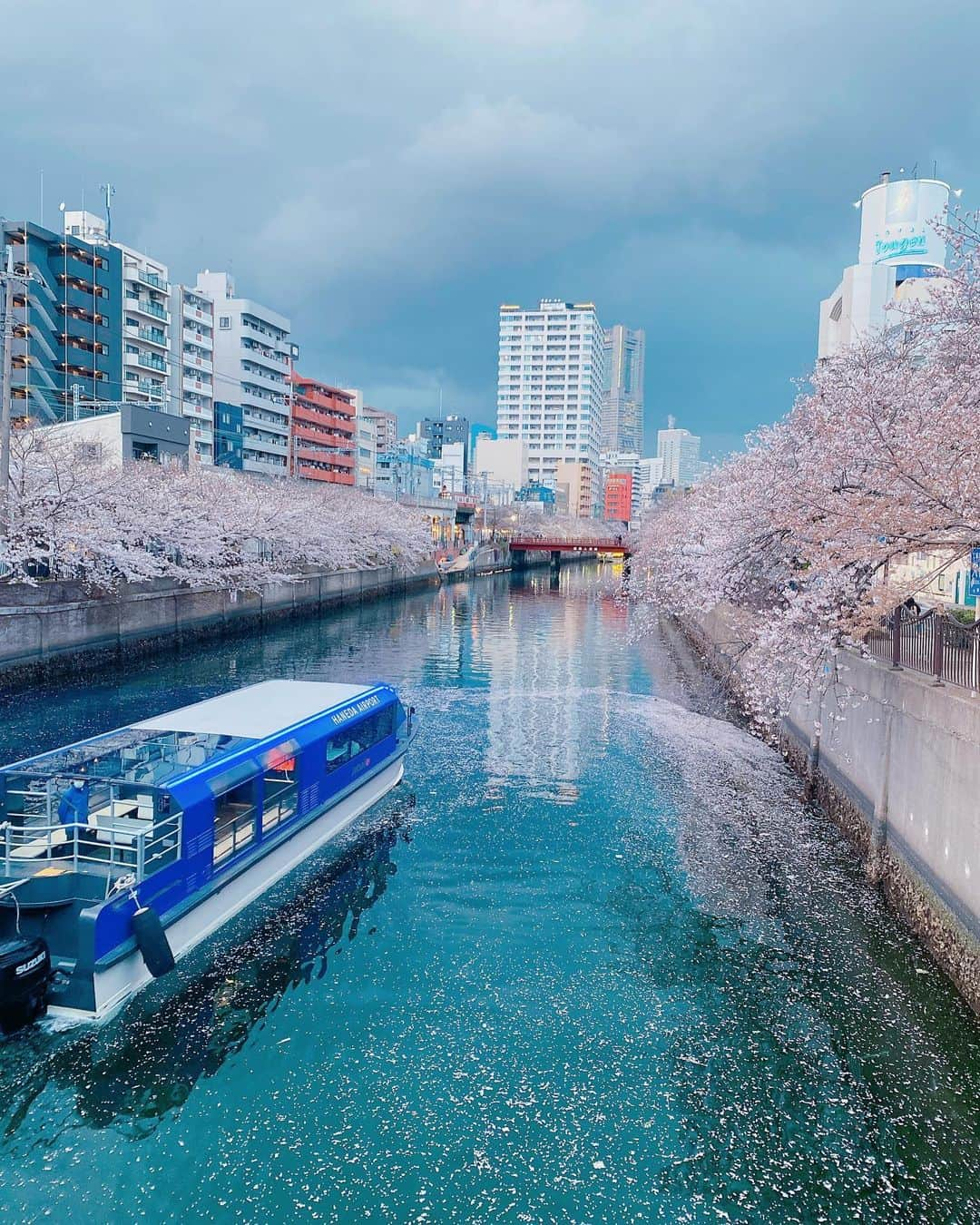 成田梨紗さんのインスタグラム写真 - (成田梨紗Instagram)「あっという間に4月〜🌸 ⁡ 桜散っちゃうの寂しいな〜🌸 ⁡ プロ野球も開幕してわくわく〜🌸 ⁡ 今シーズンも楽しみだーーー⚾️🙌🏻✨ ⁡ #4月 #新学期 #桜 #春ですね」4月2日 21時52分 - narita_risa