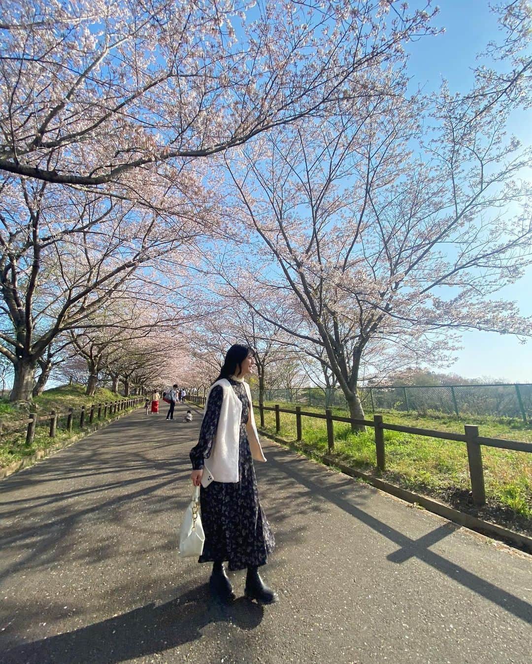 三田美吹さんのインスタグラム写真 - (三田美吹Instagram)「.  先日、桜を見に行きました🌸  間に合ってよかった〜☺︎」4月2日 21時52分 - ibuki_crownpop