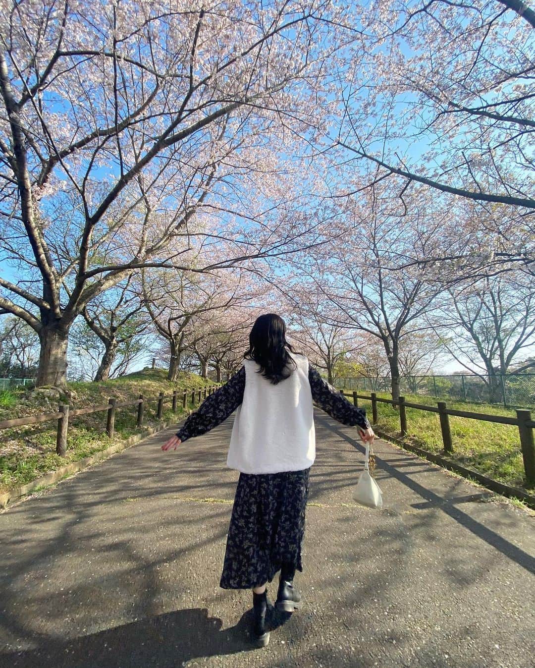三田美吹さんのインスタグラム写真 - (三田美吹Instagram)「.  先日、桜を見に行きました🌸  間に合ってよかった〜☺︎」4月2日 21時52分 - ibuki_crownpop