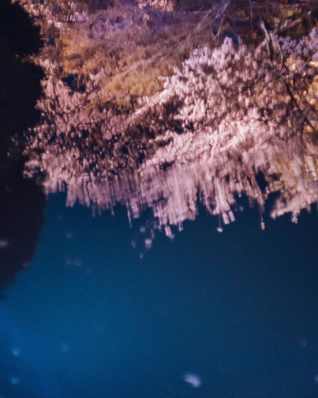のインスタグラム：「春夜」