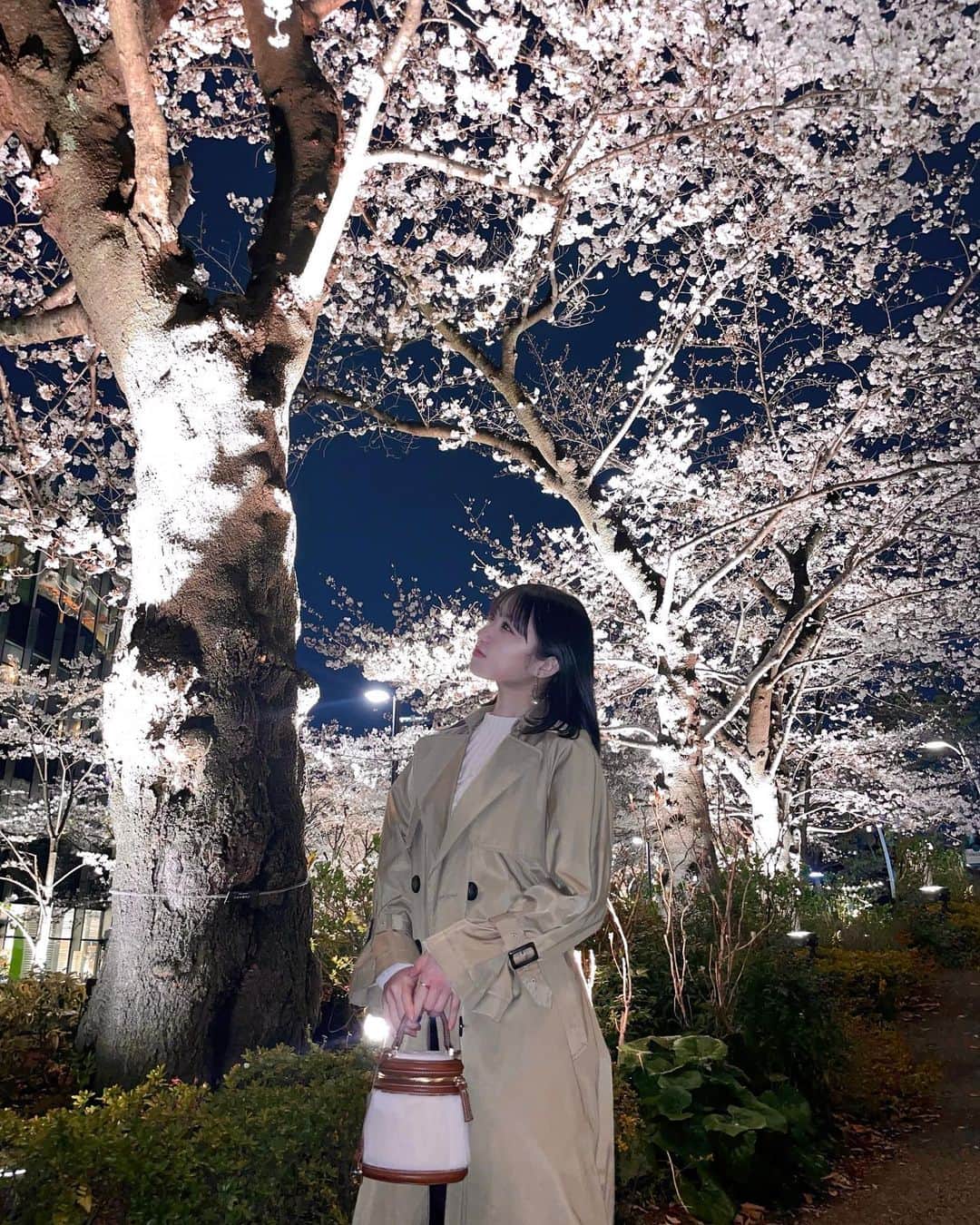 涼掛凛さんのインスタグラム写真 - (涼掛凛Instagram)「夜桜🌸」4月2日 22時05分 - rin_suzukake