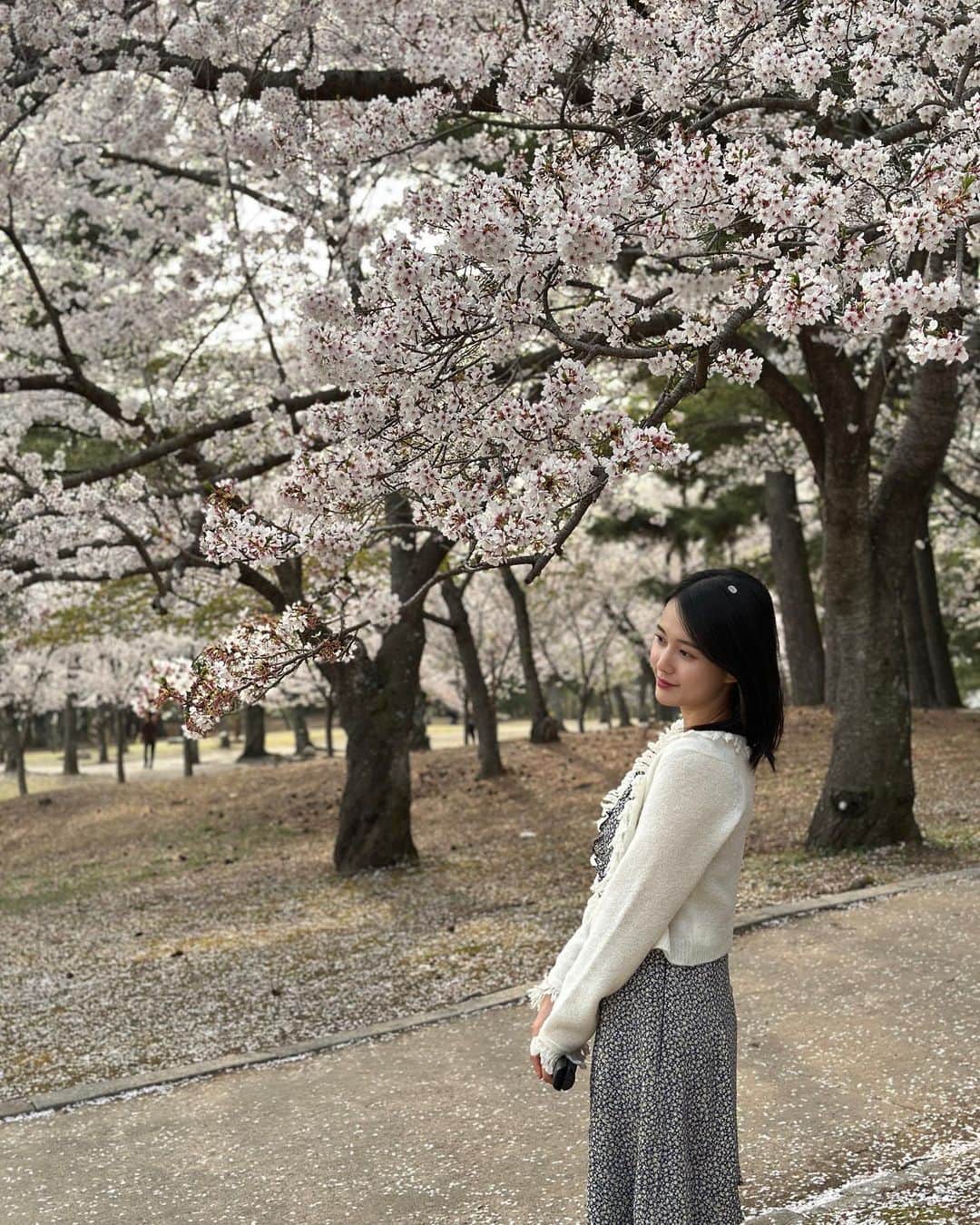 ナム・ボラのインスタグラム：「#꽃놀이🌸」