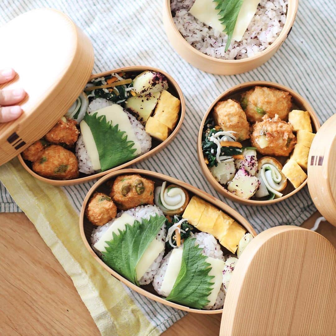 きなこのインスタグラム：「今日の家族3人分お花見弁当🌸 最近息子がハマってる"しそ"づくしに。 幼稚園時代は偏食が激しくて毎日同じ内容の真っ茶色弁当だったのに、少しずつ食べられるものが増え、お弁当に色が増えました。あの頃はこんなお弁当が食べられるようになるなんて夢にも思わなかったなぁ😳 喜んで食べてもらえると作るのも楽しい♡  花よりだんごな息子は、満開の綺麗な桜なんて気にせず、お弁当を食べおやつを食べ、虫や草や石に夢中🐛🪨」