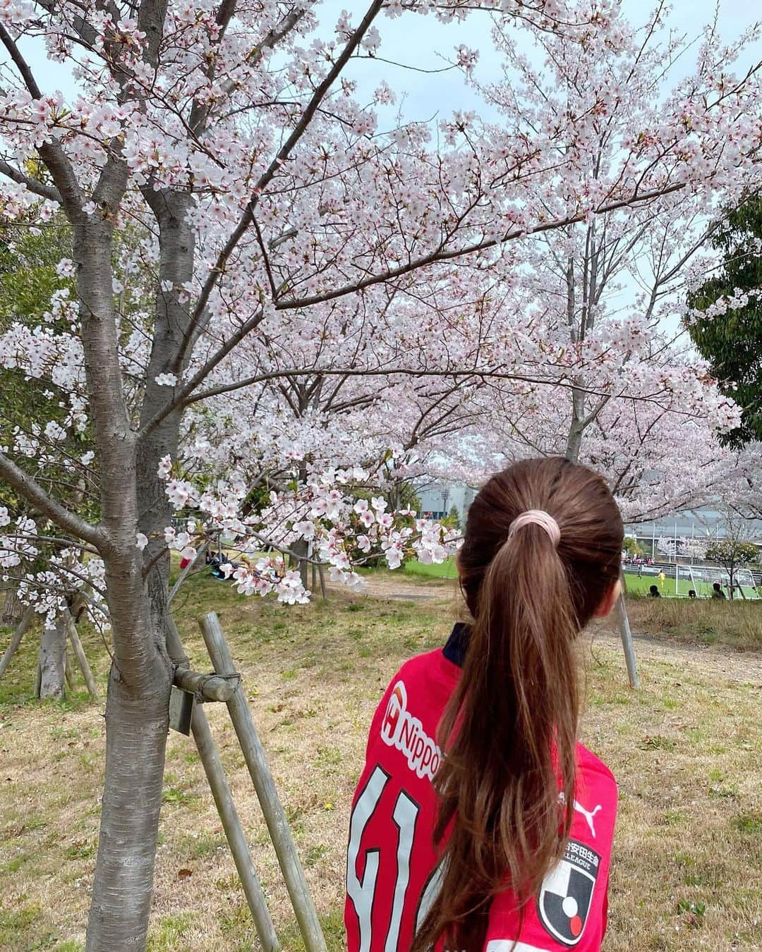 池田愛恵里さんのインスタグラム写真 - (池田愛恵里Instagram)「しあわせな土日🌸 昨日の勝利と、その余韻のままきょうは舞洲で桜祭り☺️🌸  舞洲の桜が本当に綺麗でした！ セレッソの森プロジェクトのたくさんのみなさんの協力があって、あの綺麗なクラブハウスまわりの景色があると思うと、余計に綺麗に見えます😊  MCとして参加させてもらいましたが、 たくさんのサポーターのみなさんとお話ししたりお花見できたり、ただただ幸せな時間でした🥰  なんて素敵なイベントなんだろう！  毎週こんな土日だったらいいのになぁ🙂🌸 最高の週末でした！ #セレッソ大阪 #セレッソの森プロジェクト #お花見」4月2日 22時23分 - ikeda_aeri